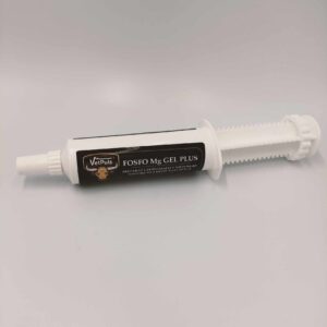 FOSFO Mg GEL PLUS