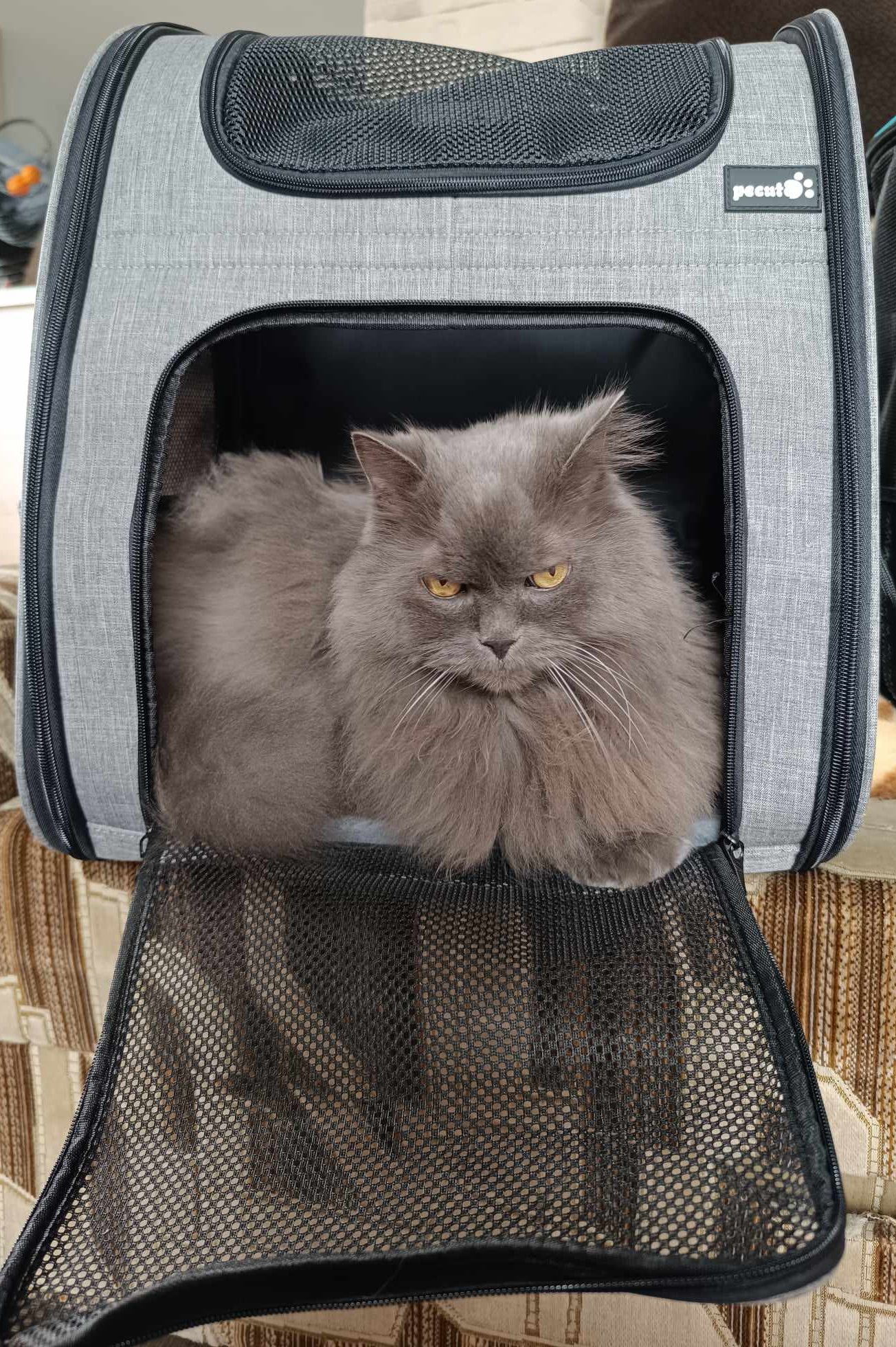 Pecute plecak do transportu zwierząt rozm. XL - obrazek 9